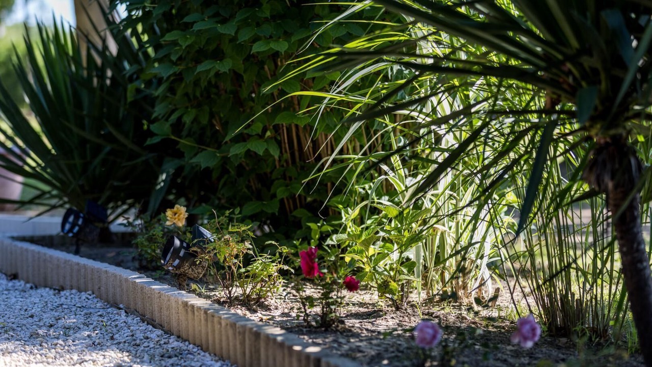 Photo of Outdoor in Lacquy