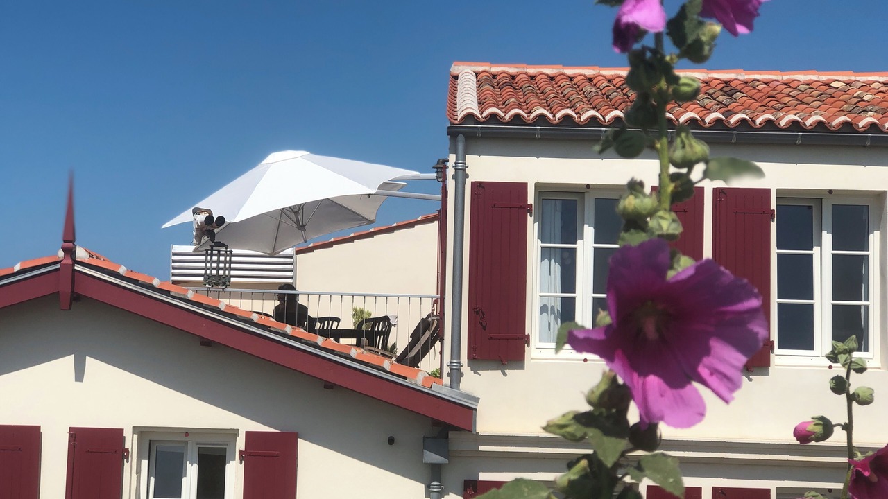 Photo of Outdoor in Mauzac