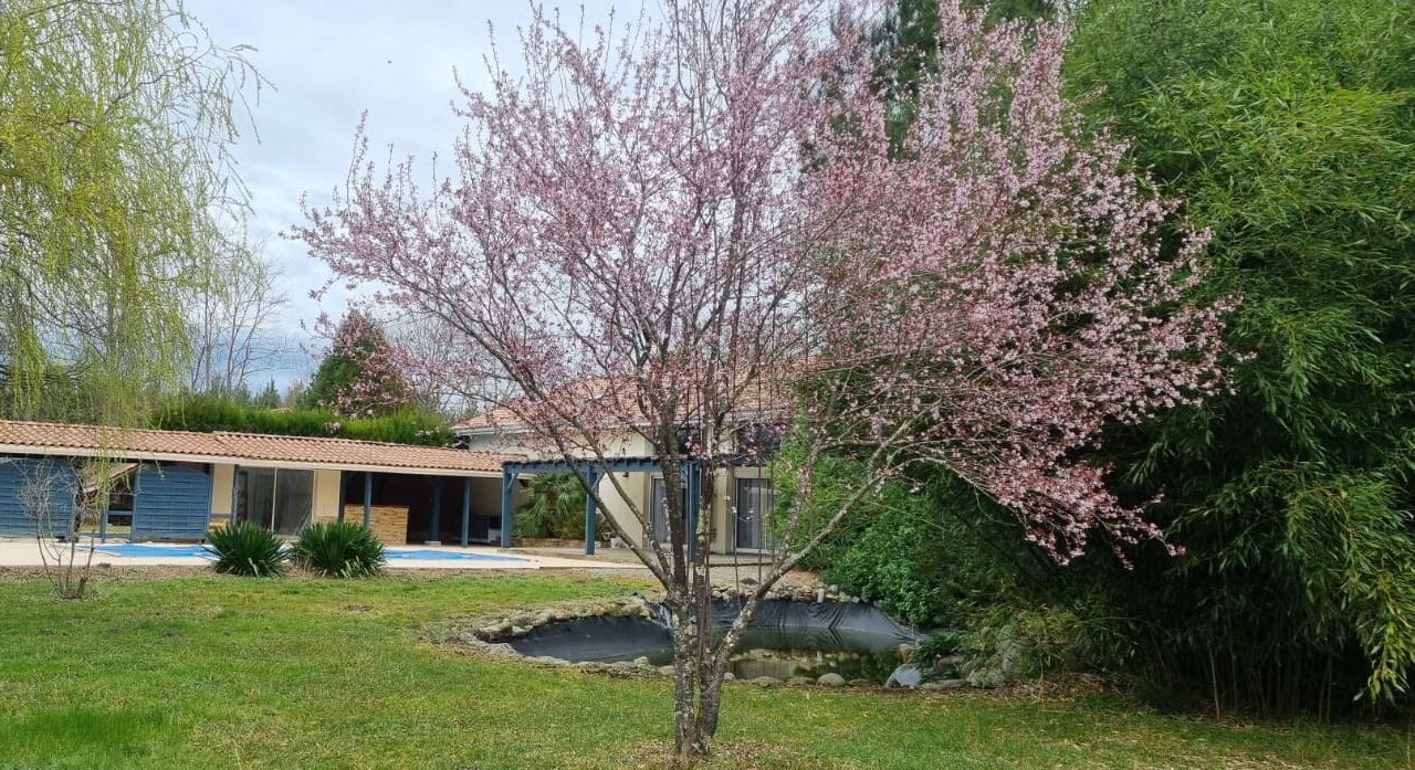 Photo of Outdoor in Saint-Yaguen