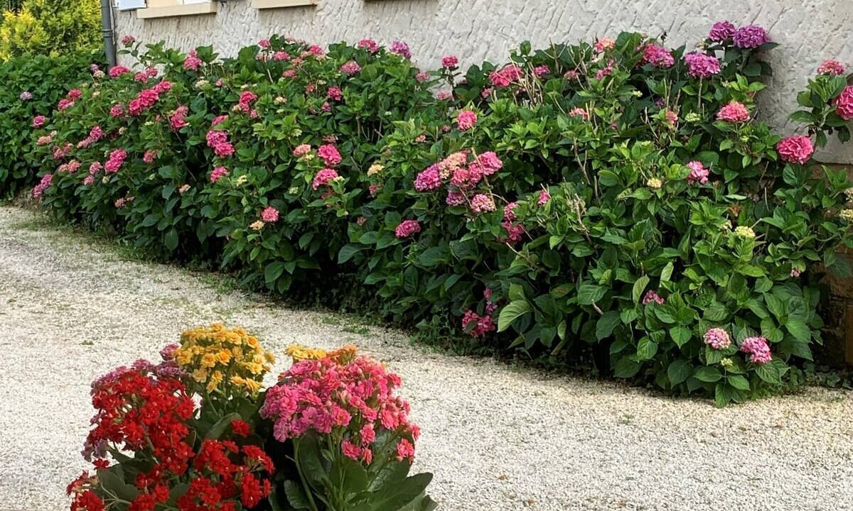 Photo of Outdoor in Saint-Julien-de-Lampon