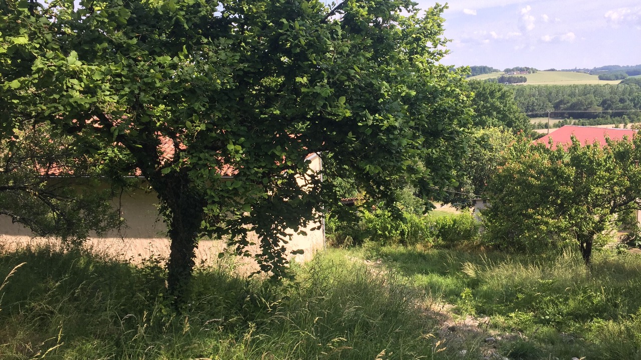 Photo of Others in Montboyer