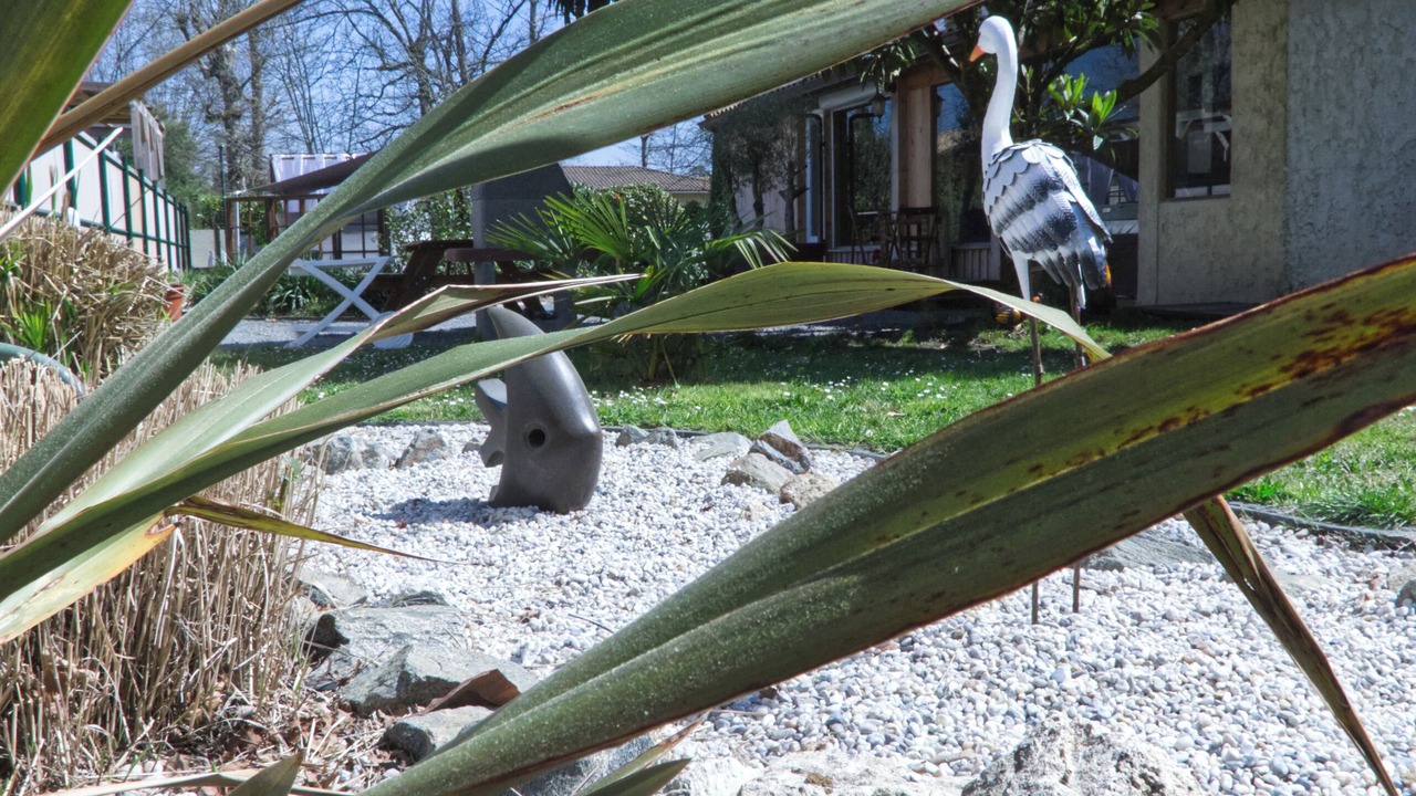 Photo of Outdoor in Saint-Jean-d'Illac
