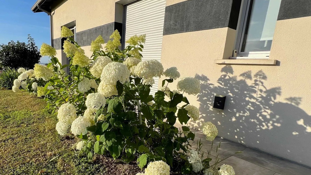 Photo of Outdoor in Sainte-Croix-Du-Mont