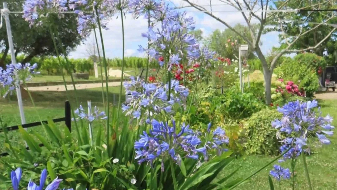 Photo of Outdoor in Sainte-Croix-Du-Mont