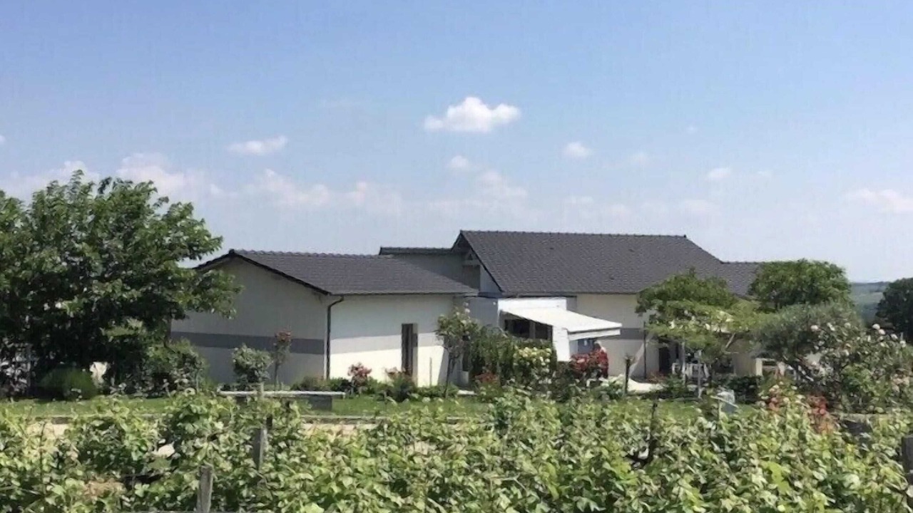 Photo of Outdoor in Sainte-Croix-Du-Mont