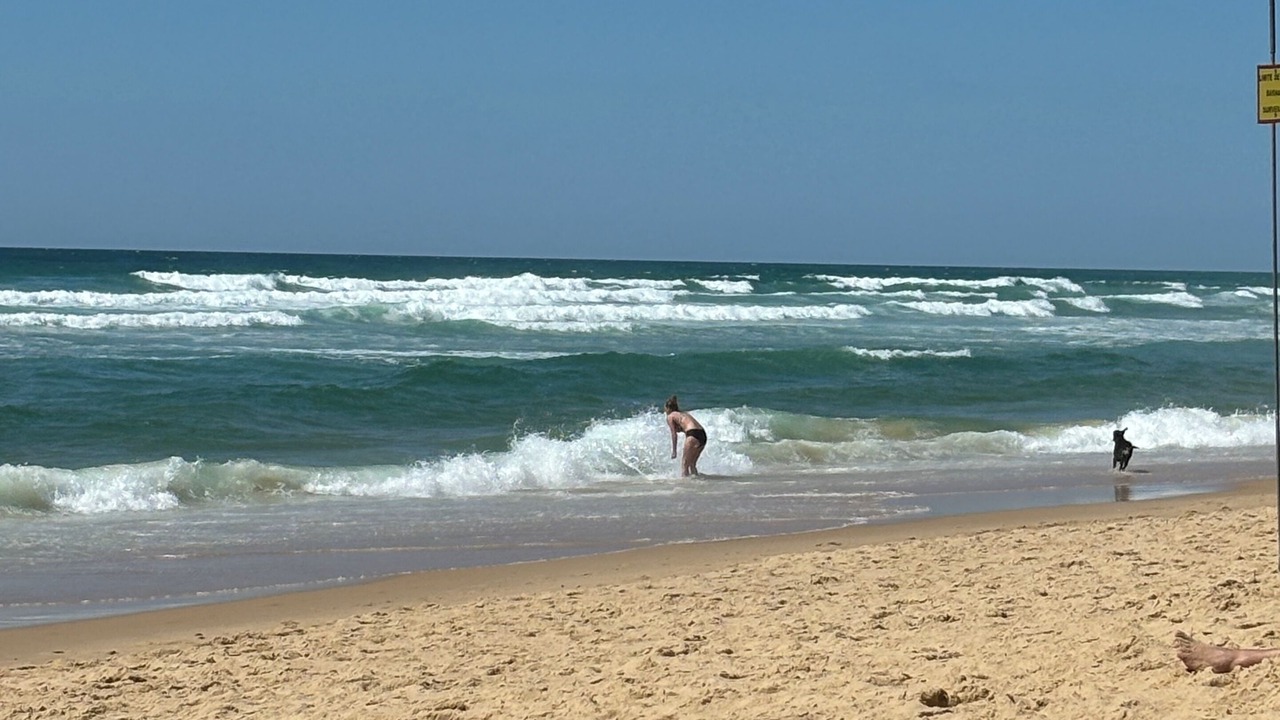 Photo of Others in Le Porge
