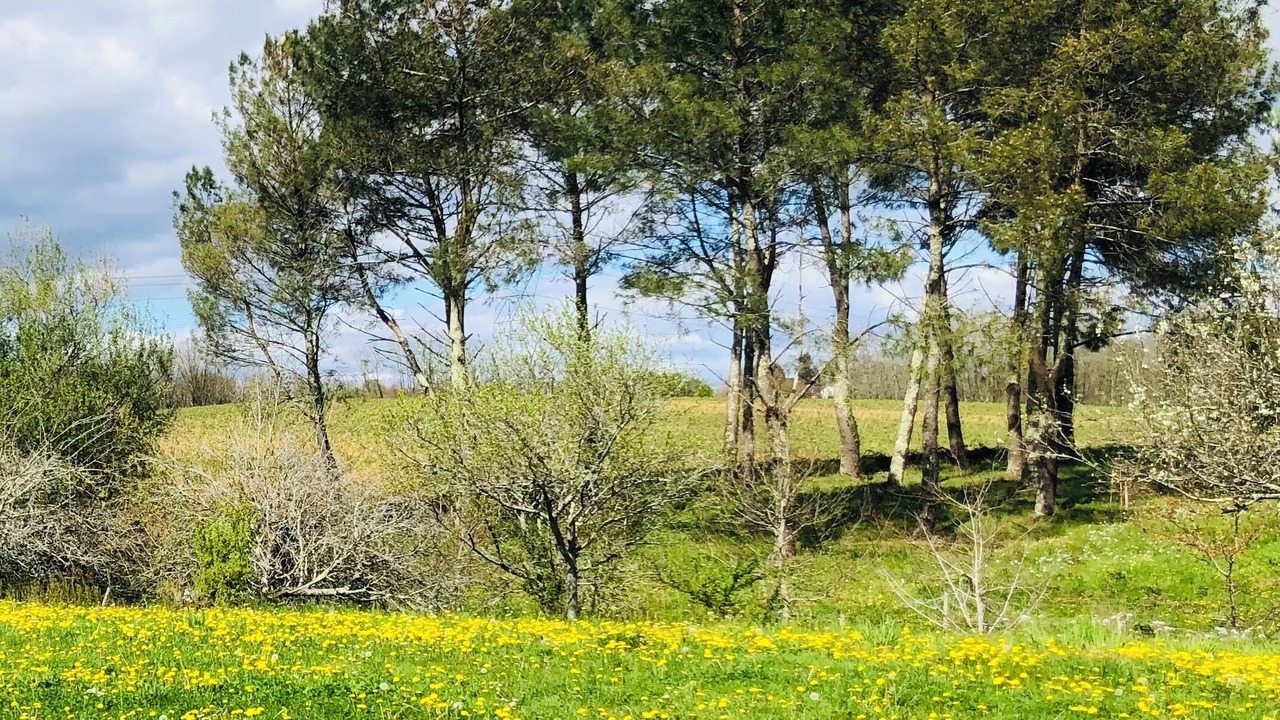 Photo of Others in Heugas