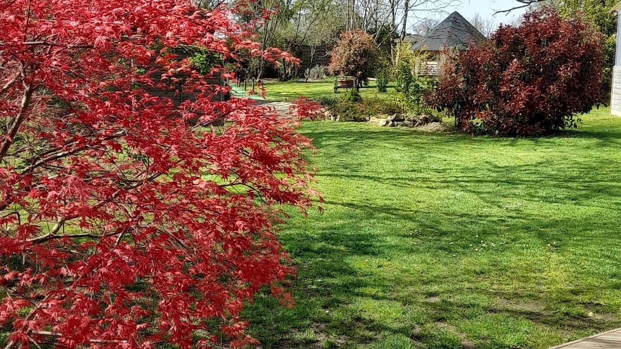 Photo of Outdoor in Saint-Barbant