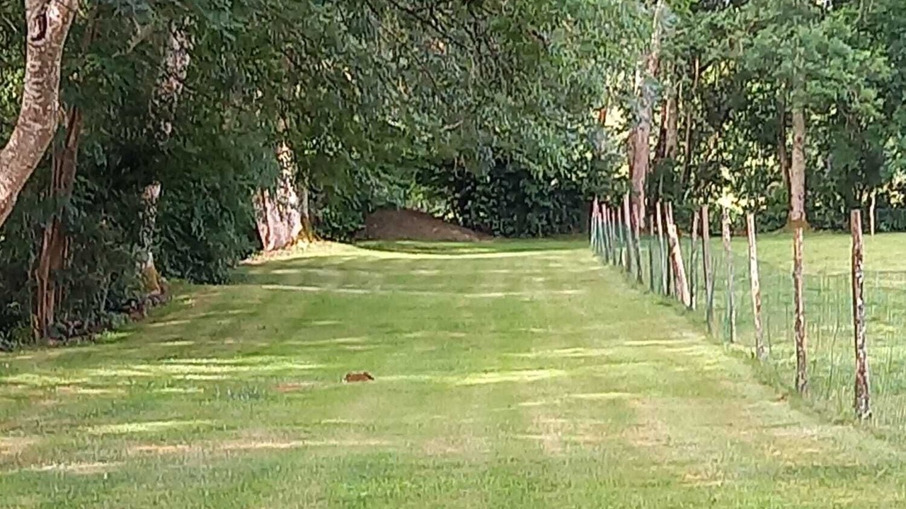 Photo of Outdoor in Sainte-Foy-de-Longas