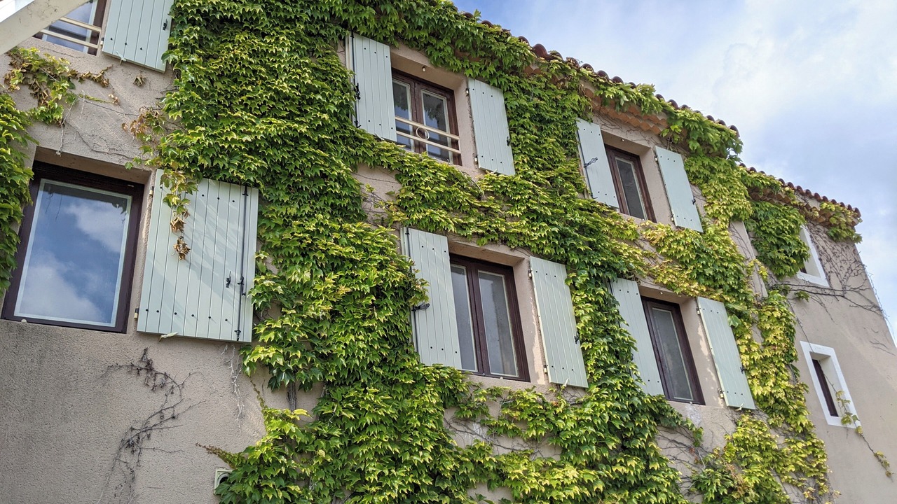 Photo of Outdoor in Vaugines