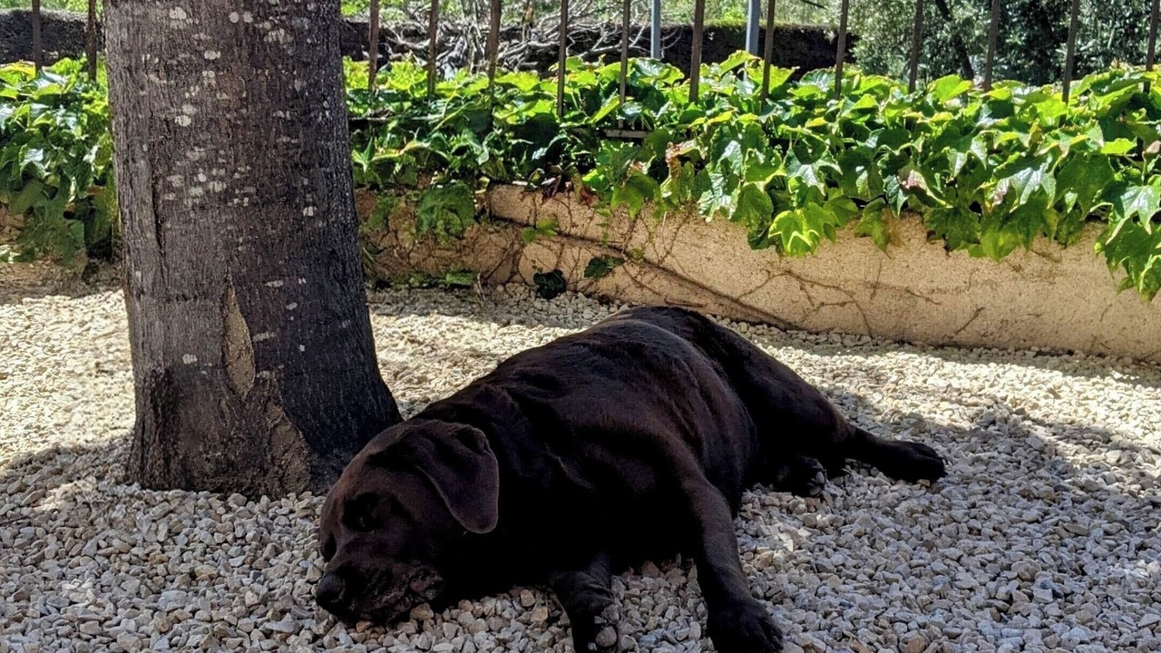 Photo of Outdoor in Vaugines