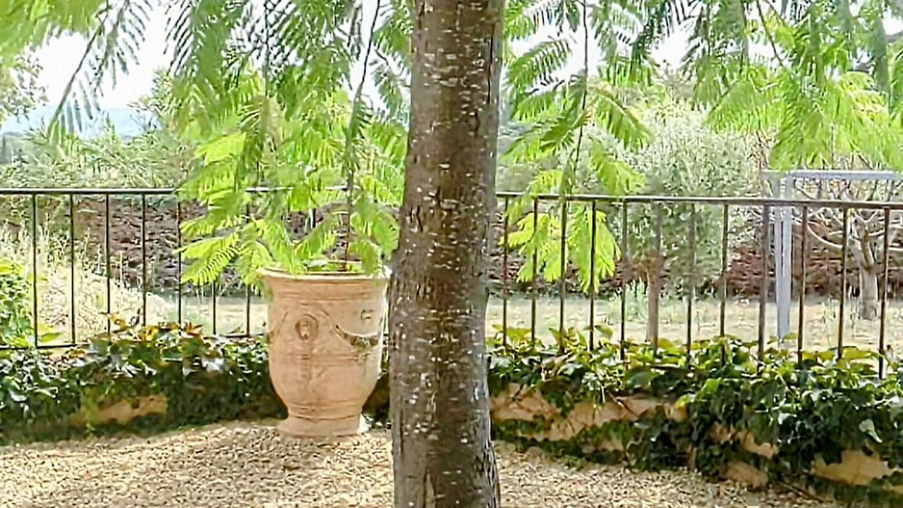 Photo of Outdoor in Vaugines