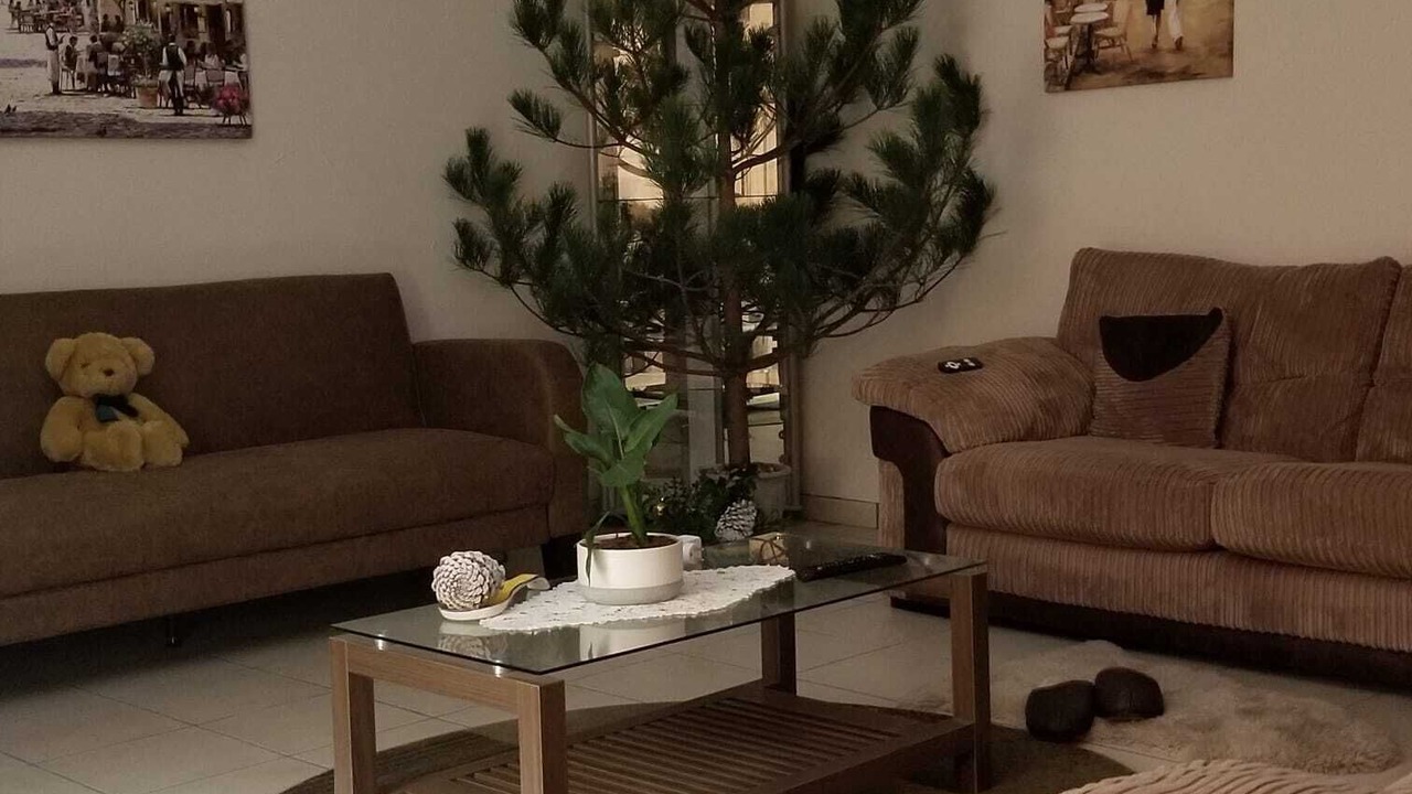 Photo of Livingroom in Mussidan