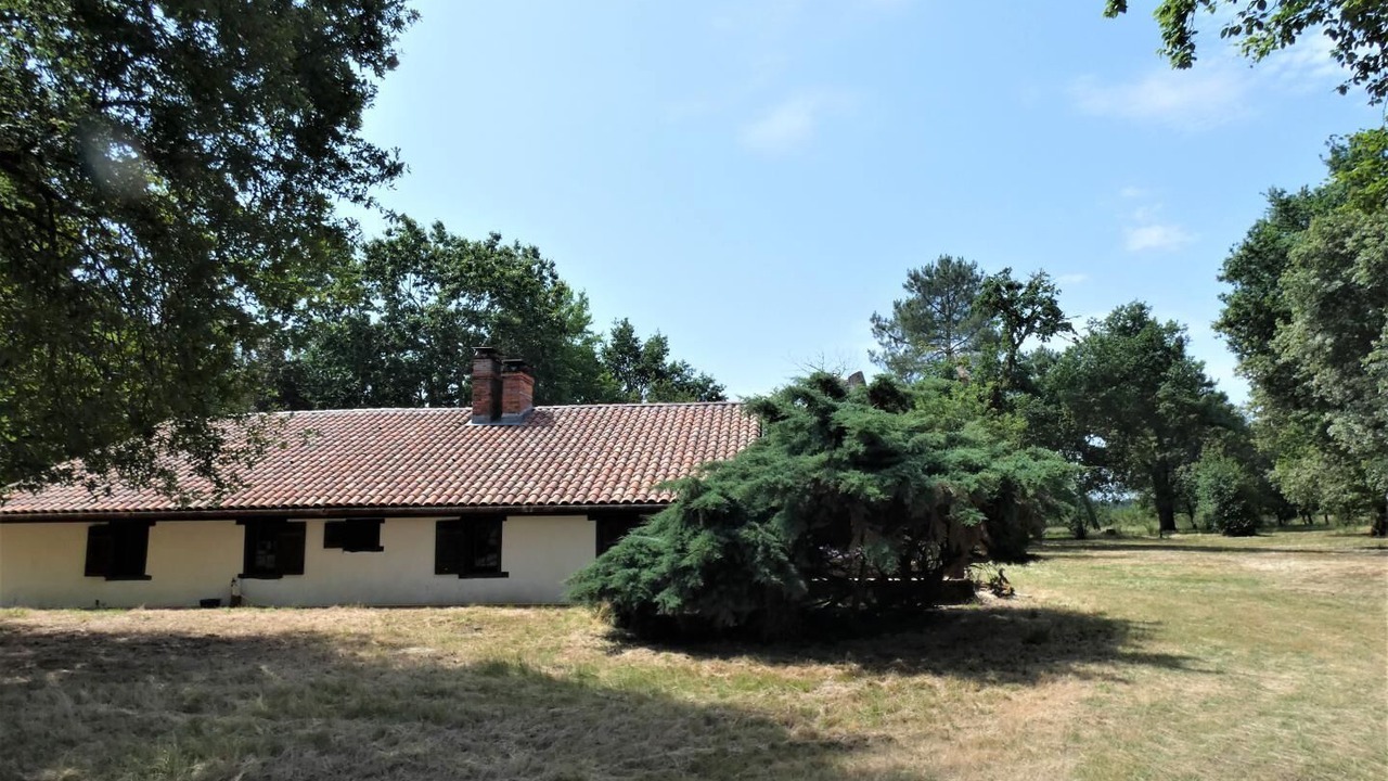 Photo of Outdoor in Commensacq