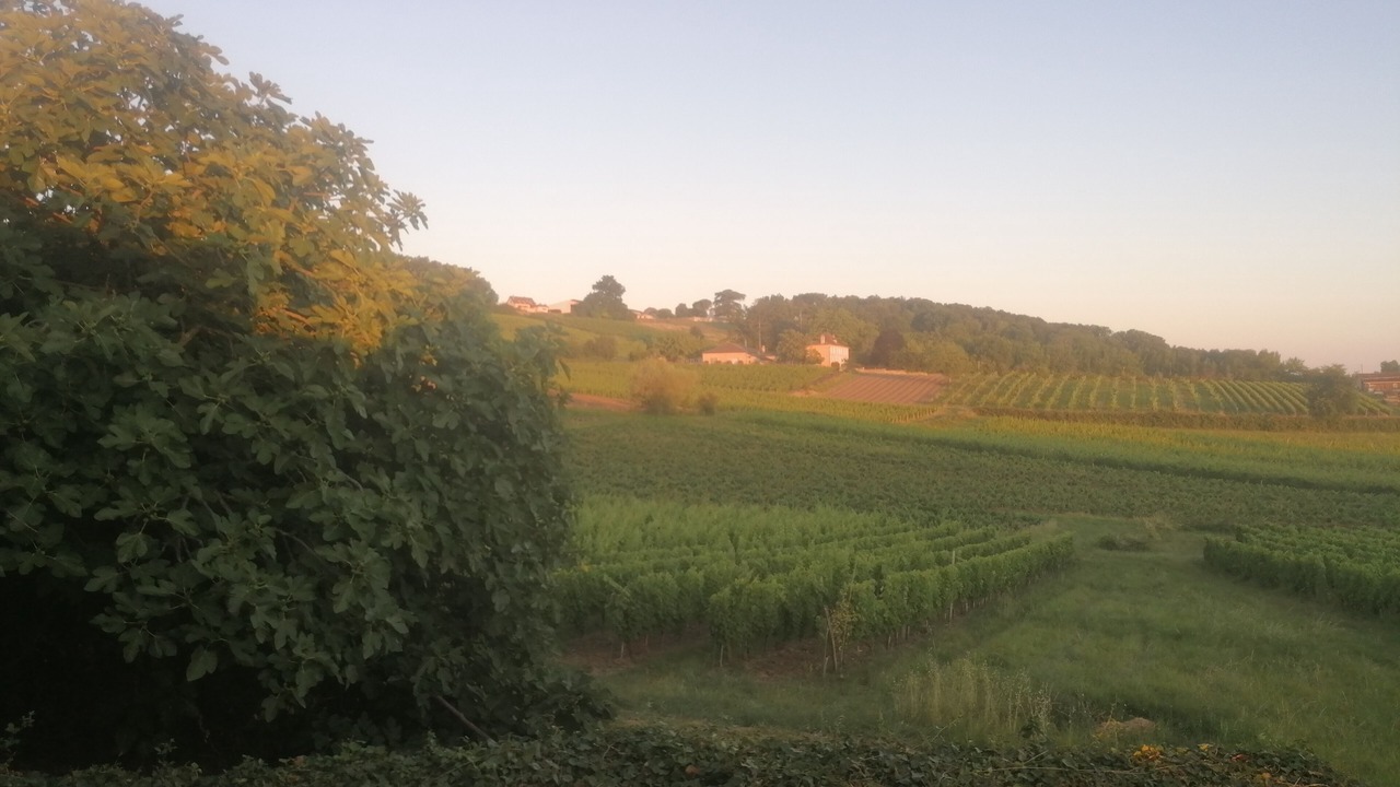 Photo of Others in Monbazillac