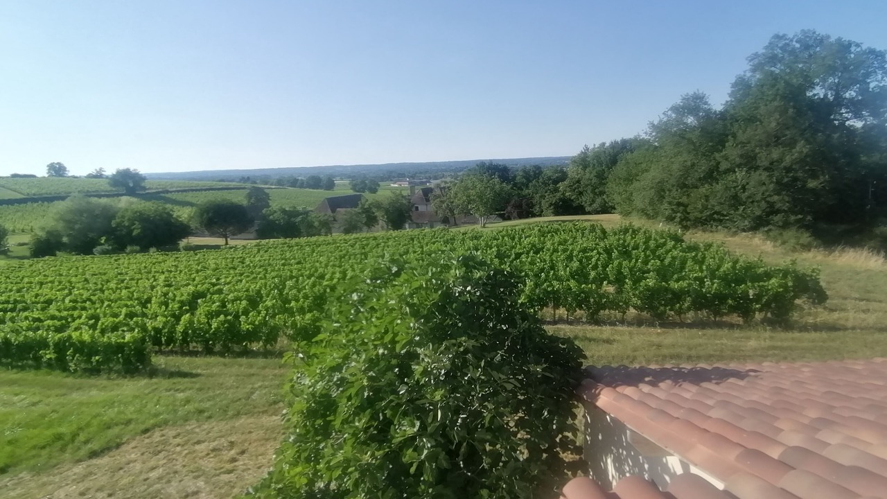 Photo of Others in Monbazillac