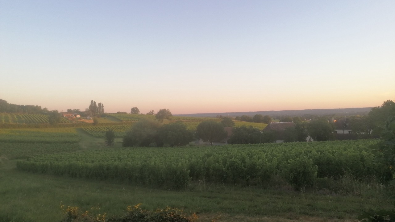 Photo of Others in Monbazillac