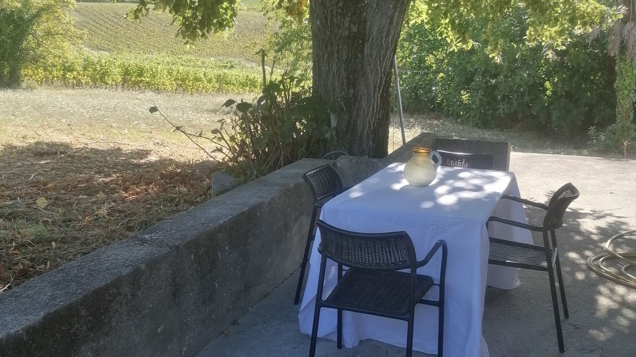 Photo of Outdoor in Monbazillac