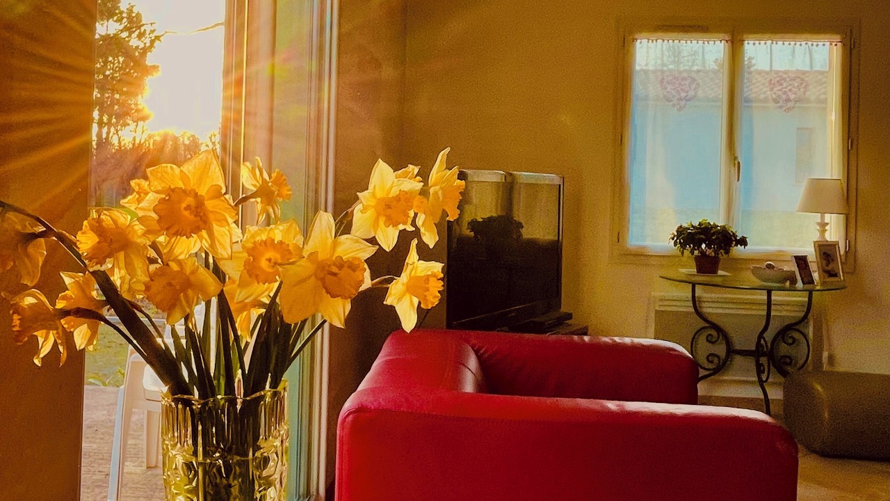 Photo of Livingroom in Puynormand
