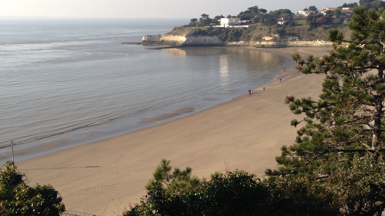 Photo of Others in Meschers-sur-Gironde