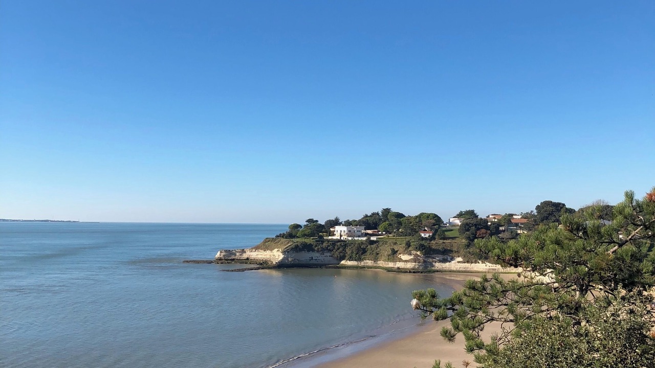 Photo of Others in Meschers-sur-Gironde