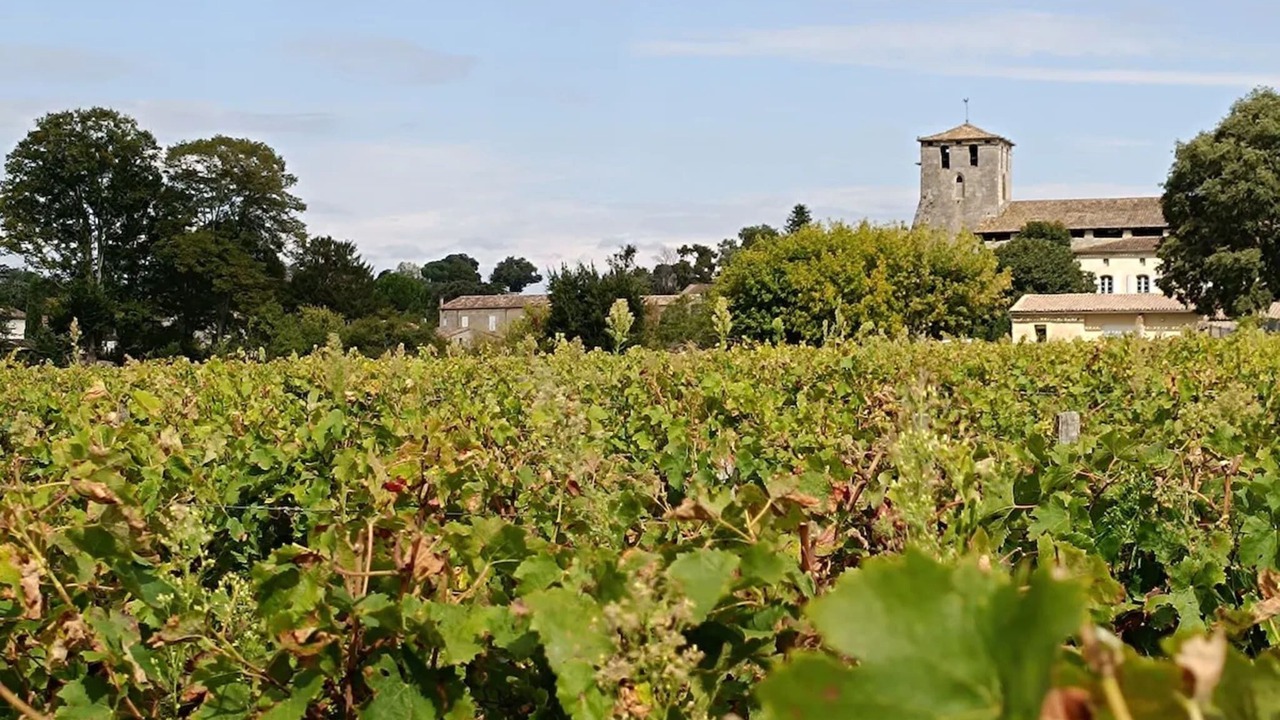 Photo of Others in Fronsac