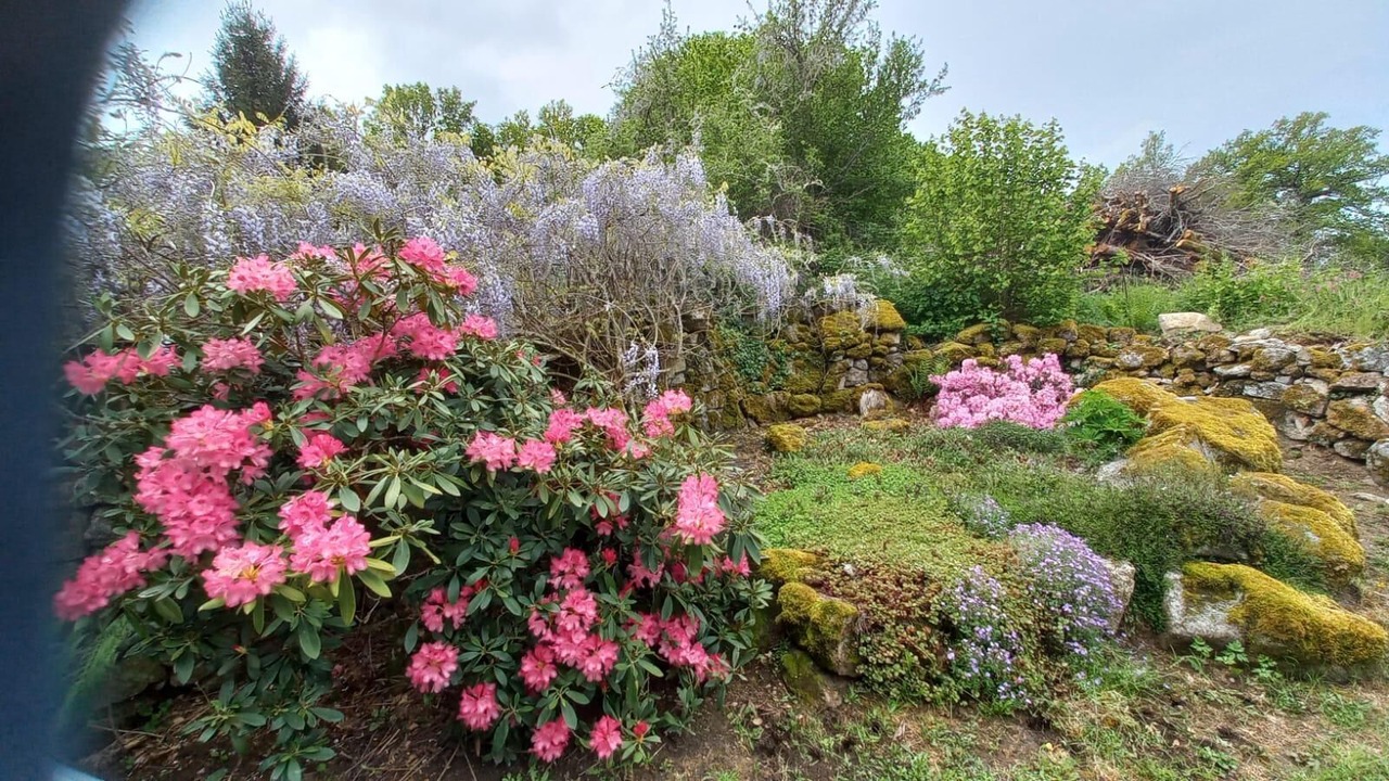 Photo of Outdoor in Saint-Agnant-pres-Crocq