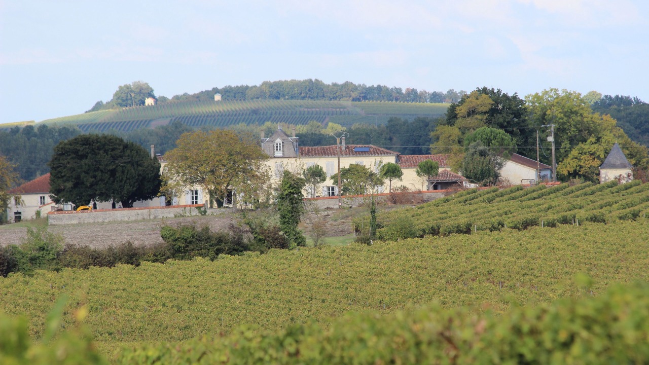 Photo of Others in Reaux