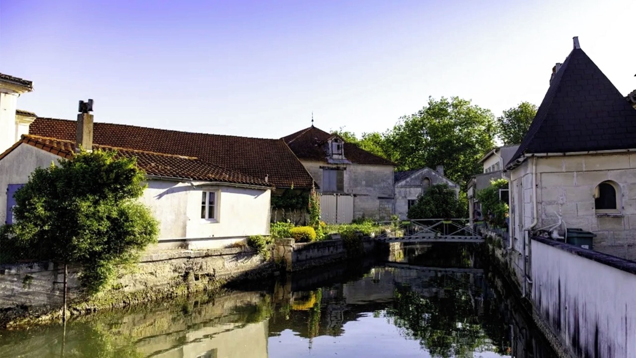 Photo of Others in Chenac-Saint-Seurin-d'Uzet