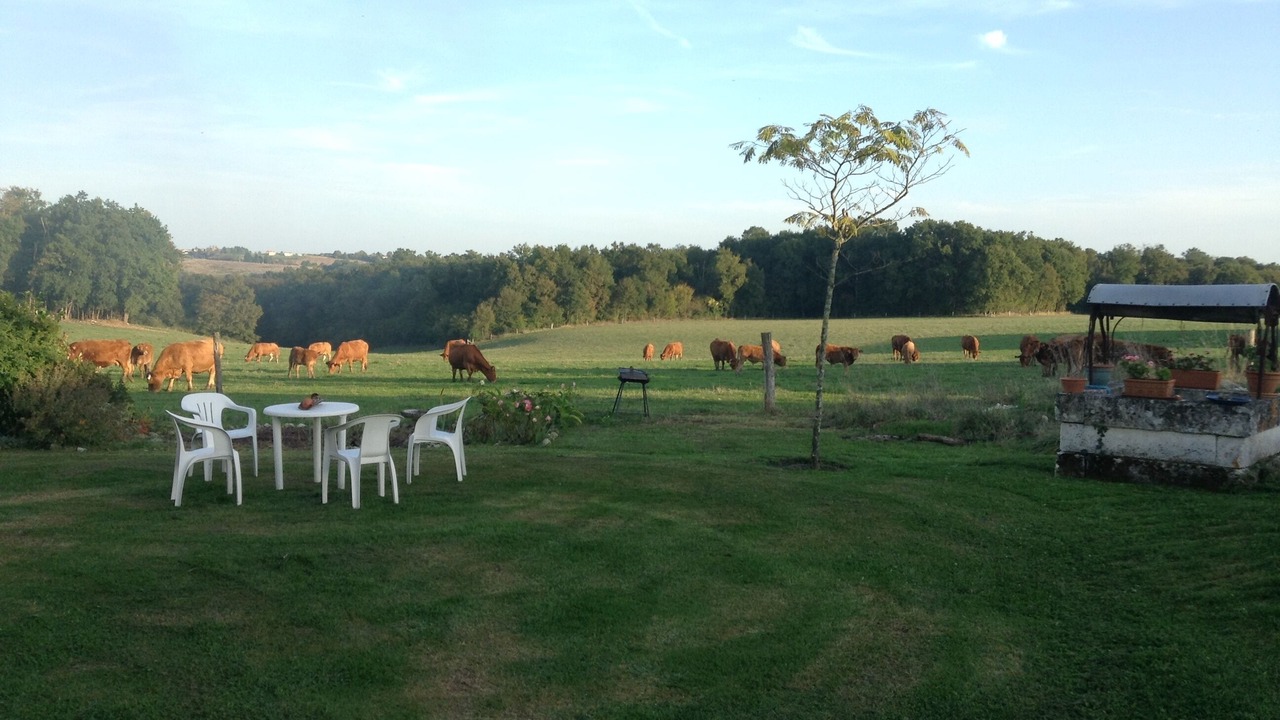 Photo of Outdoor in Saint-Quentin-de-Chalais
