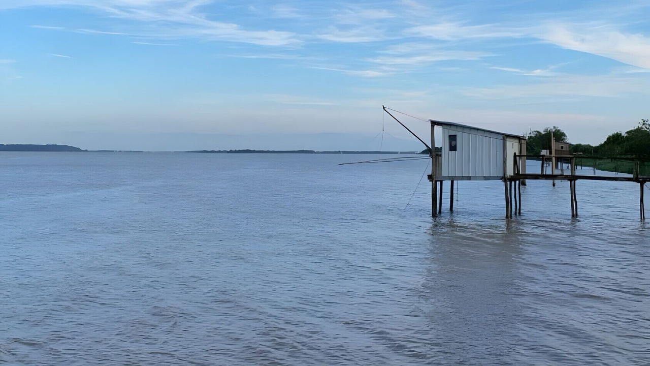 Photo of Others in Lamarque