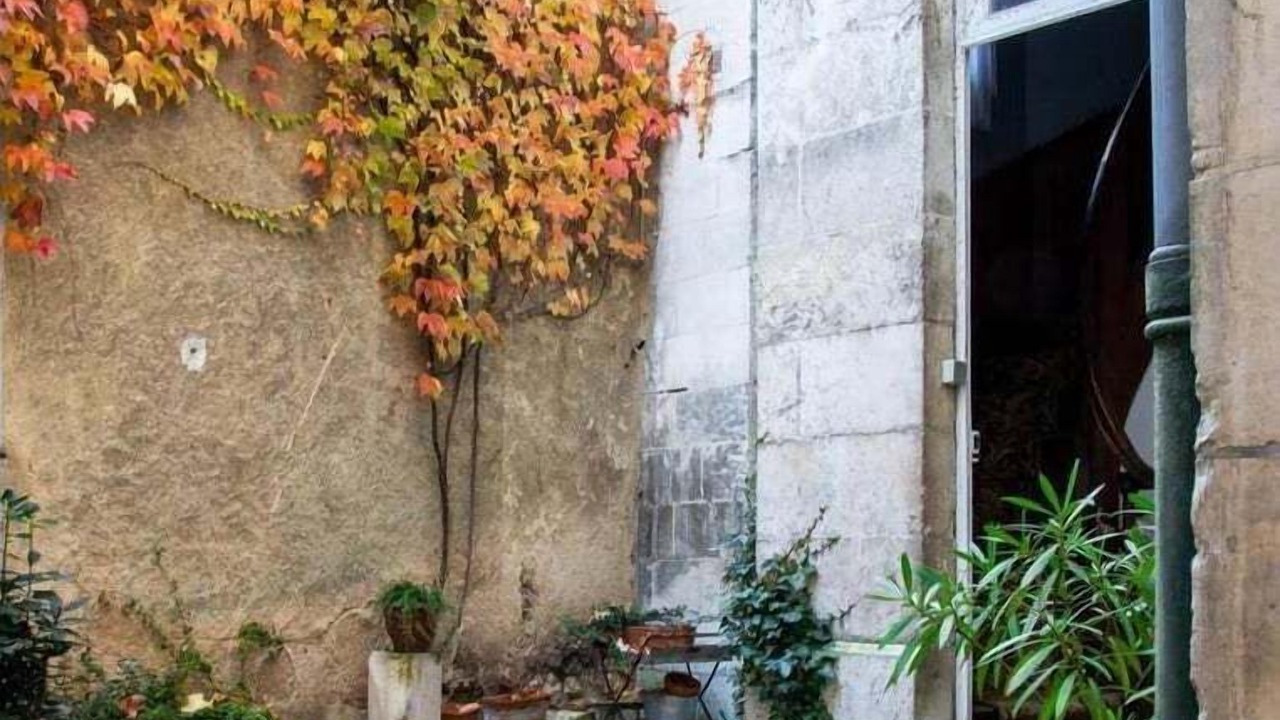 Photo of Outdoor in Poitiers