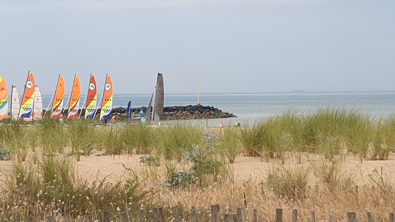 Photo of Others in Port District