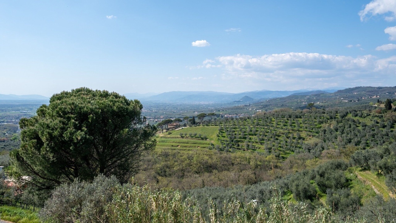 Photo of Others in Fornello