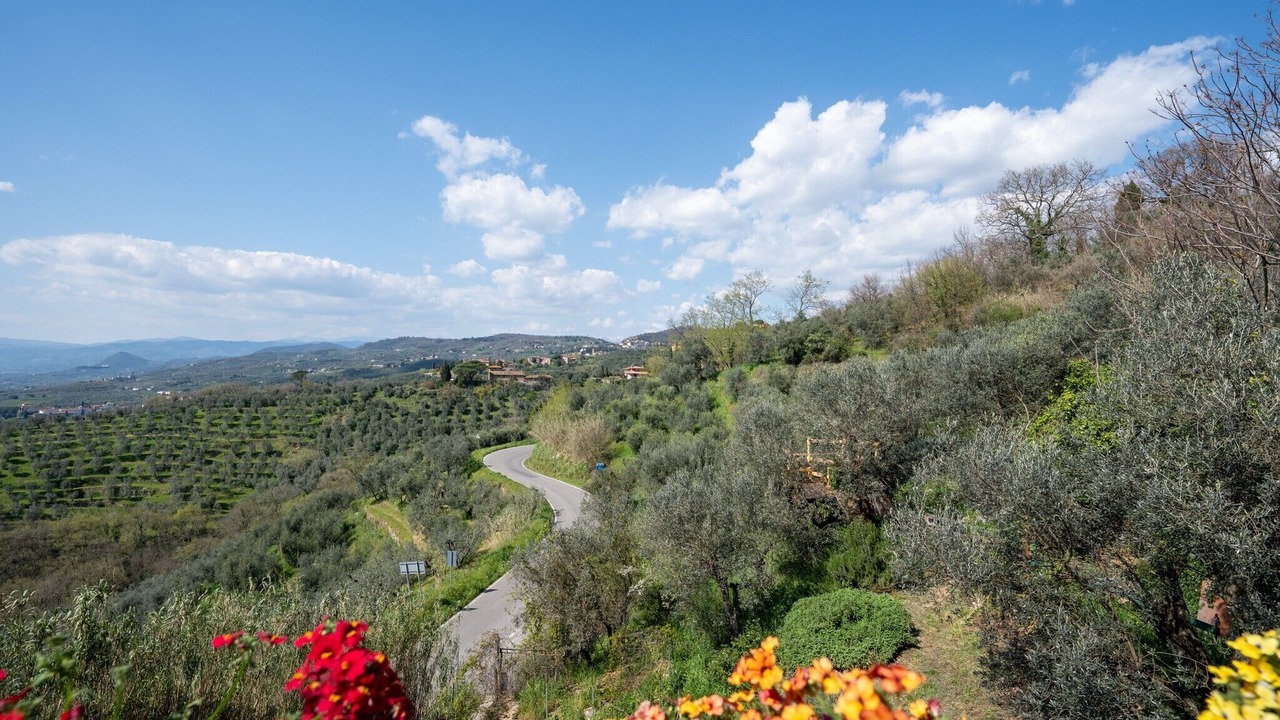 Photo of Others in Fornello