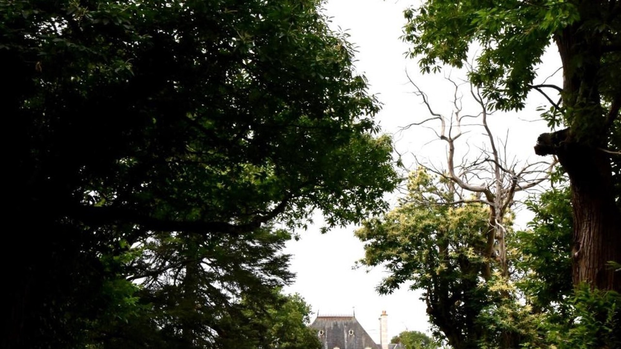 Photo of Outdoor in Rouille