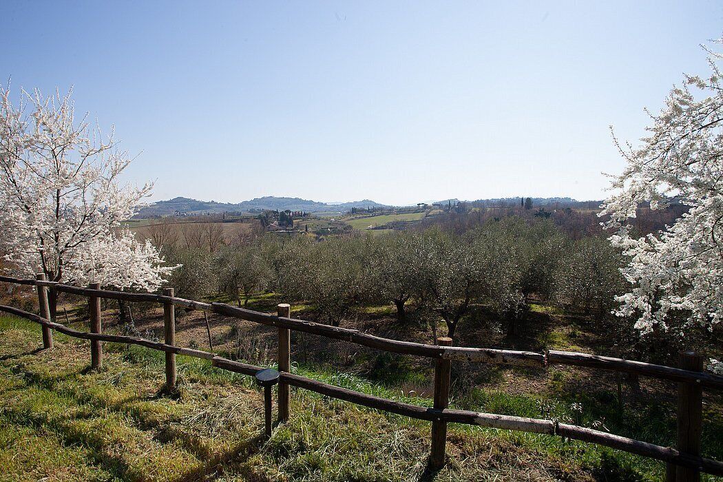 Photo of Others in Chiusi