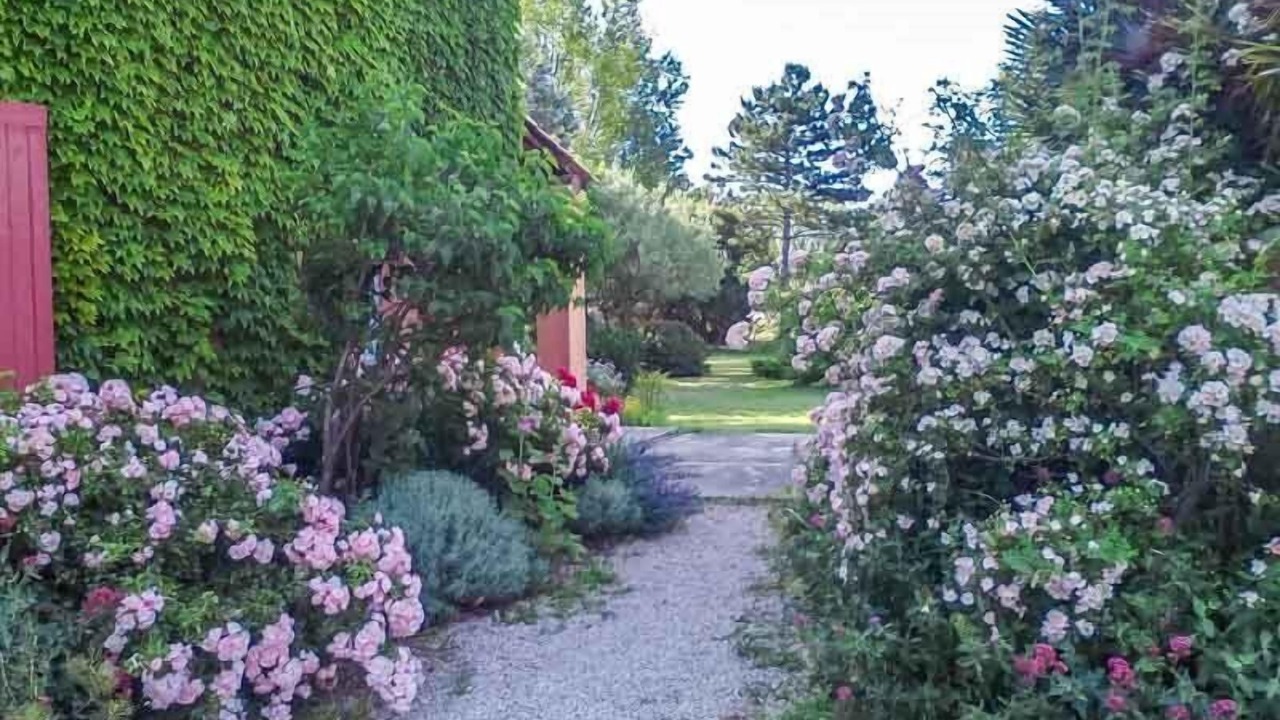 Photo of Outdoor in Courthezon