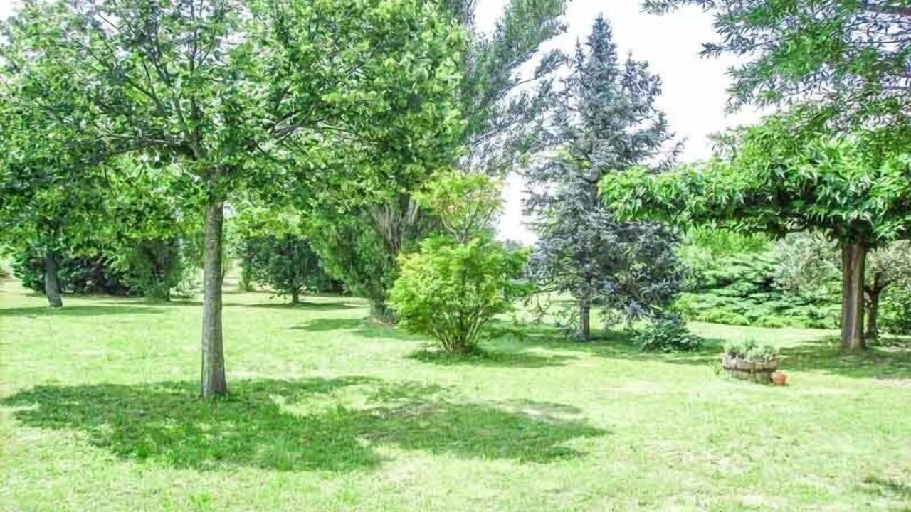 Photo of Outdoor in Courthezon