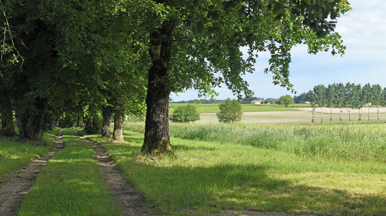 Photo of Others in Reaux
