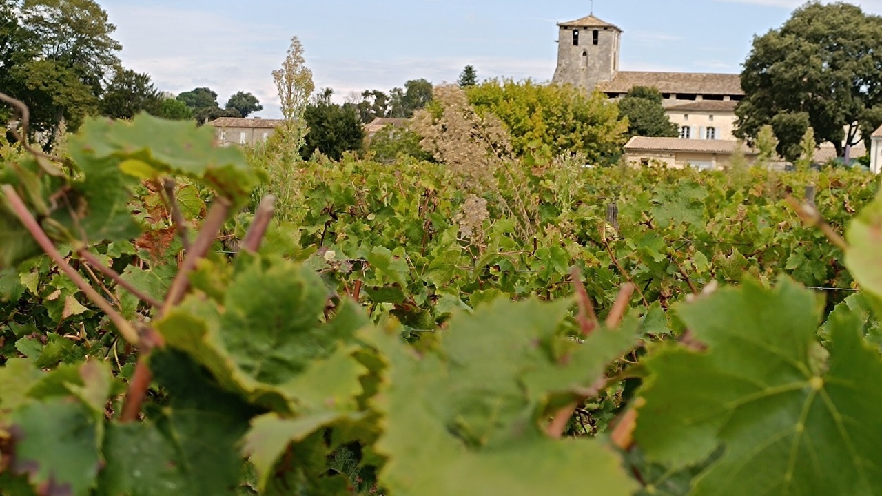 Photo of Outdoor in Fronsac