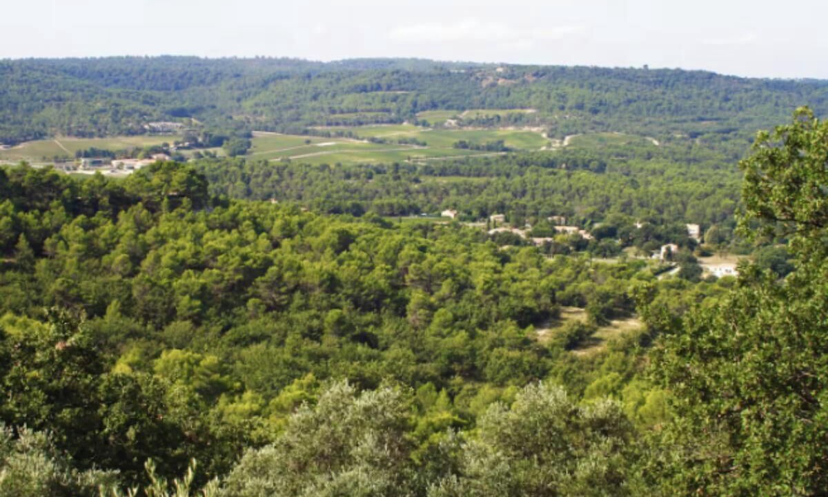 Photo of Others in Le Puy-Sainte-Reparade