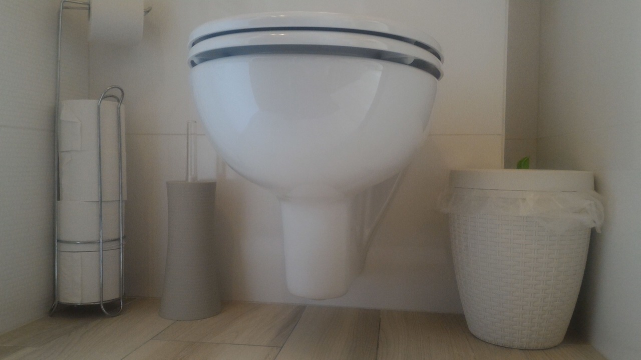 Photo of Bathroom in Talence