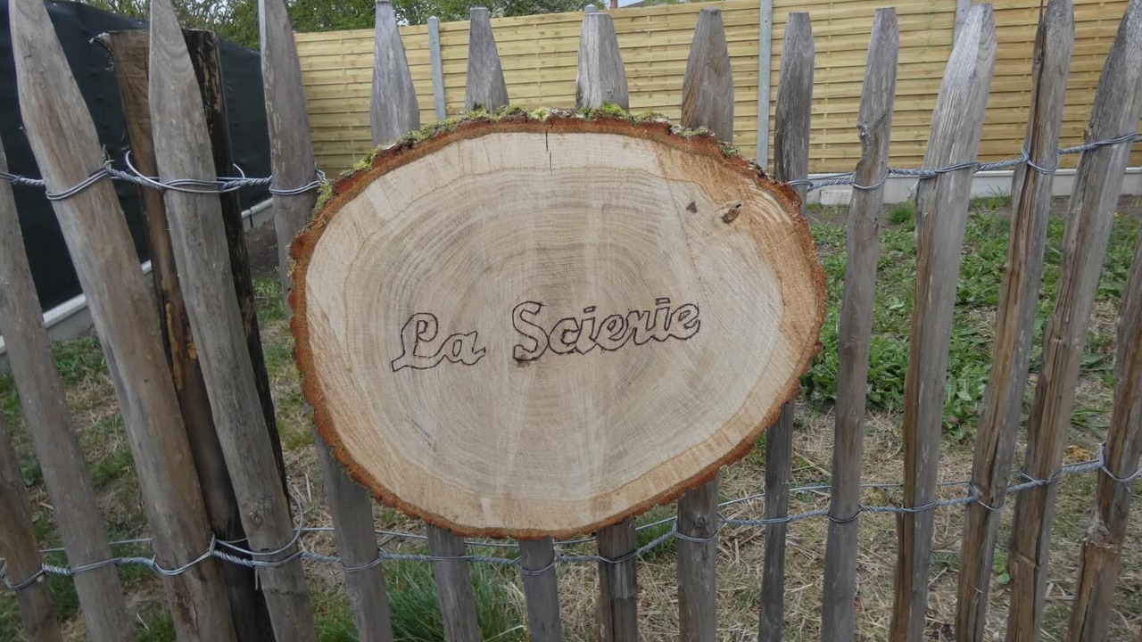 Photo of Others in Sabres