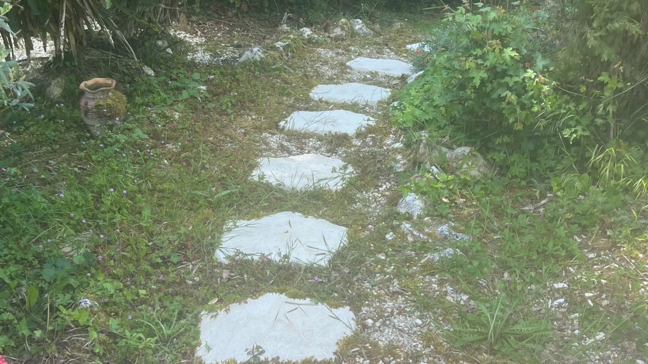 Photo of Outdoor in Sorges-et-Ligueux-en-Perigord