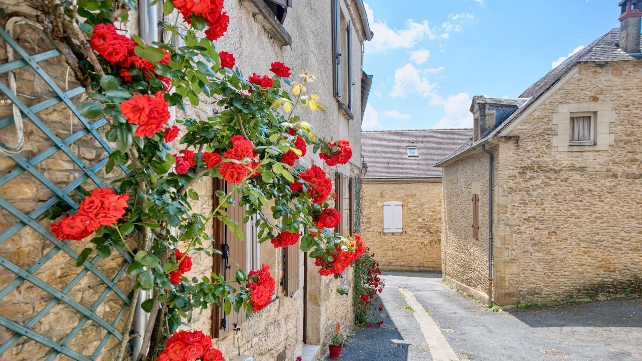 Photo of Outdoor in Salignac-Eyvignes