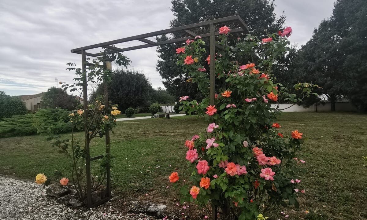 Photo of Outdoor in Geay