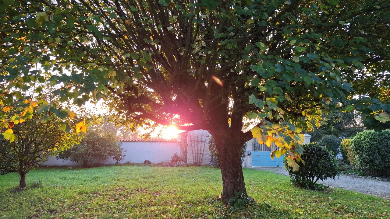 Photo of Outdoor in Geay