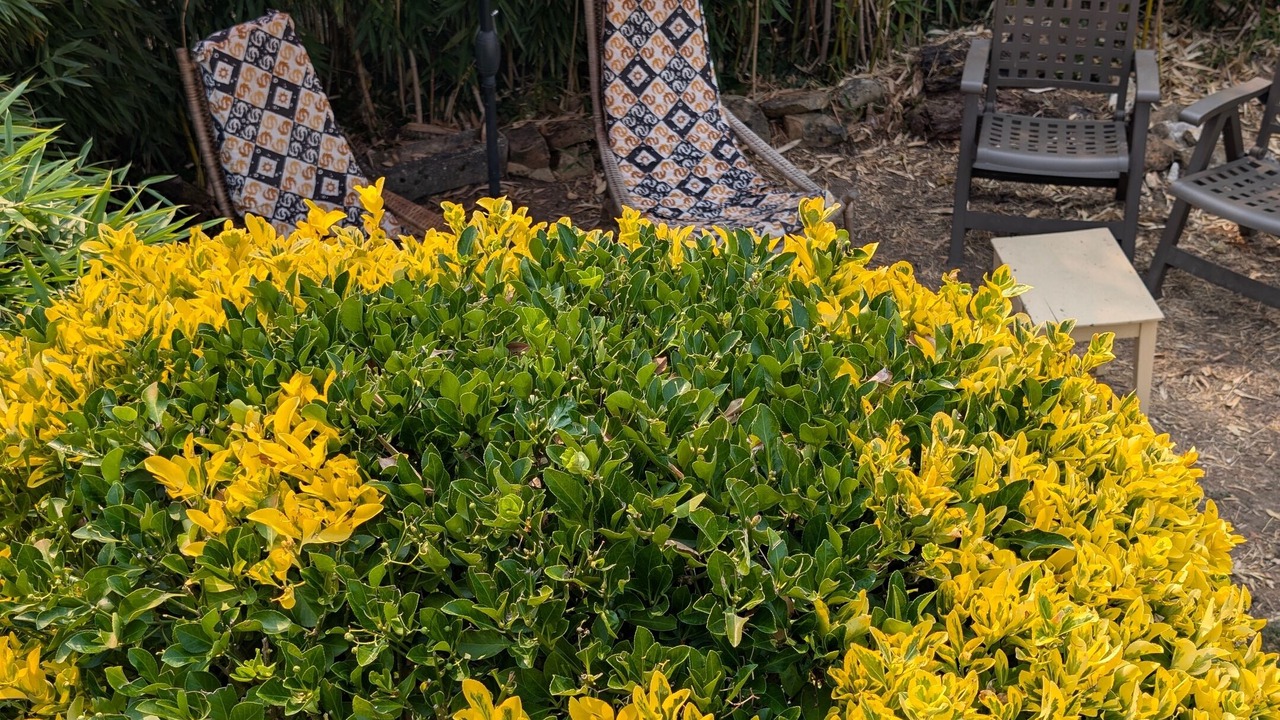 Photo of Outdoor in Geay