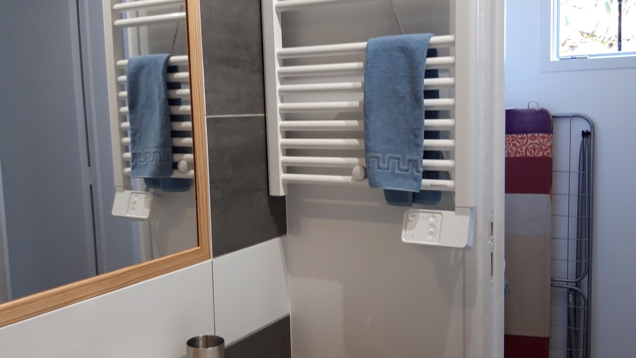 Photo of Bathroom in Menesplet